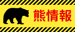 熊目撃情報について