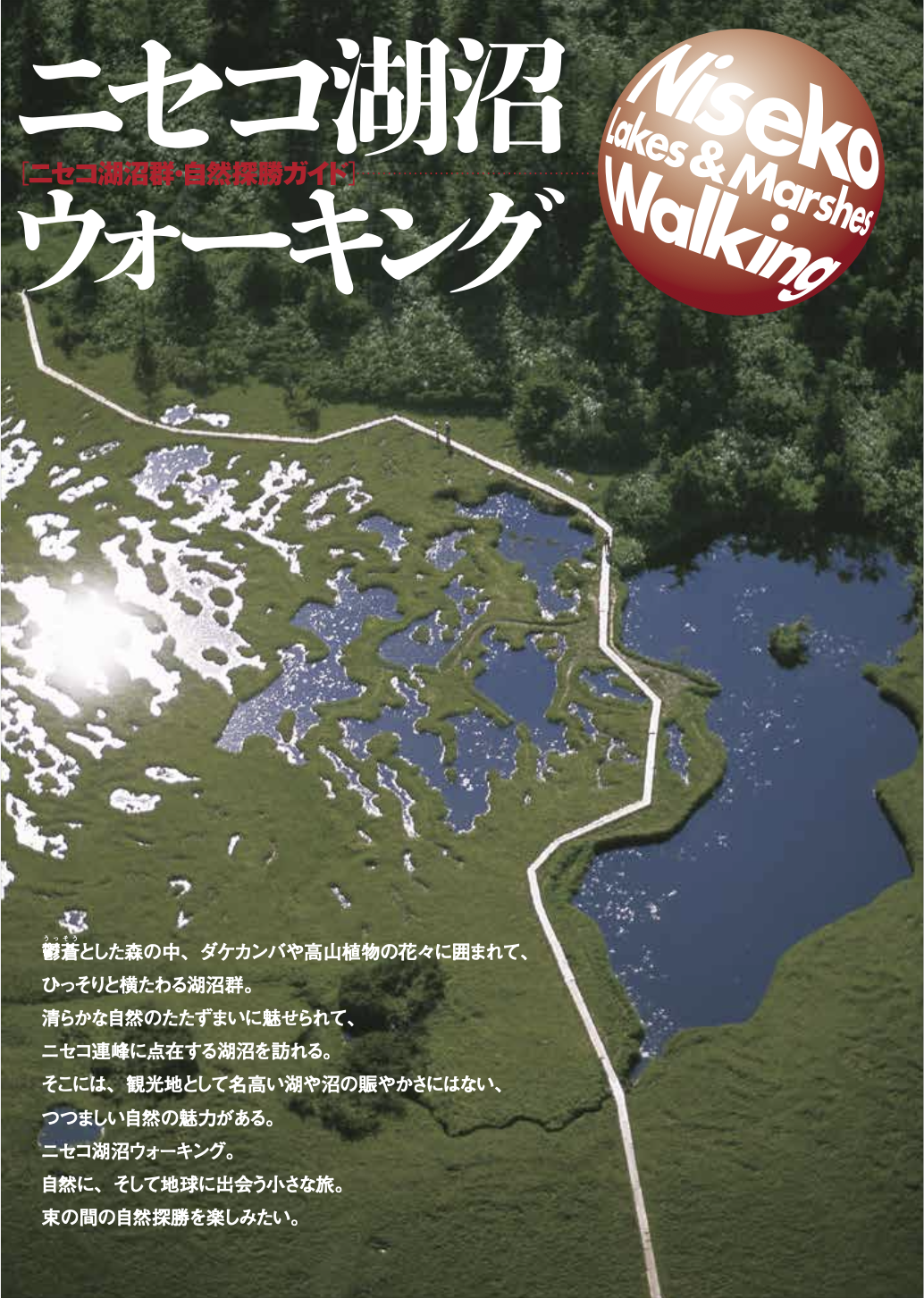 イワオヌプリ登山ルート